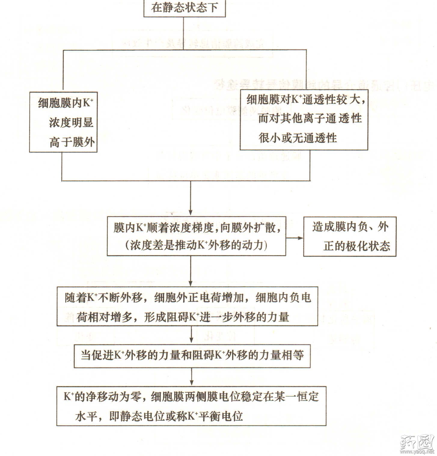 什么是静息电位 简述其产生原理_幸福是什么图片(2)