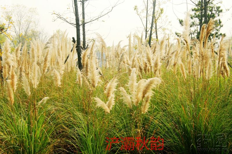 山东能源集团董事长
