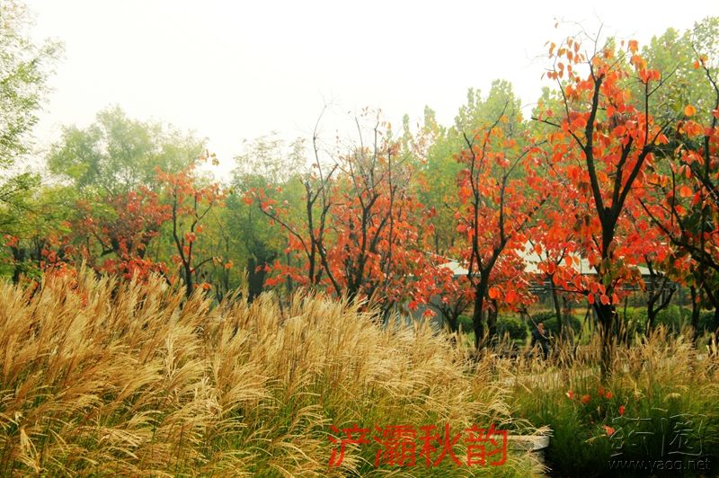 山东能源集团董事长