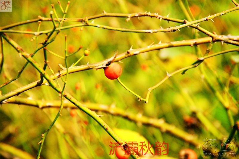 山东能源集团董事长