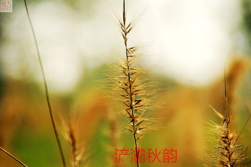 山东能源集团董事长