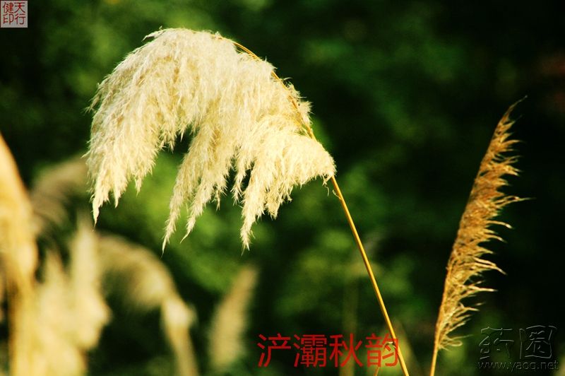 山东能源集团董事长